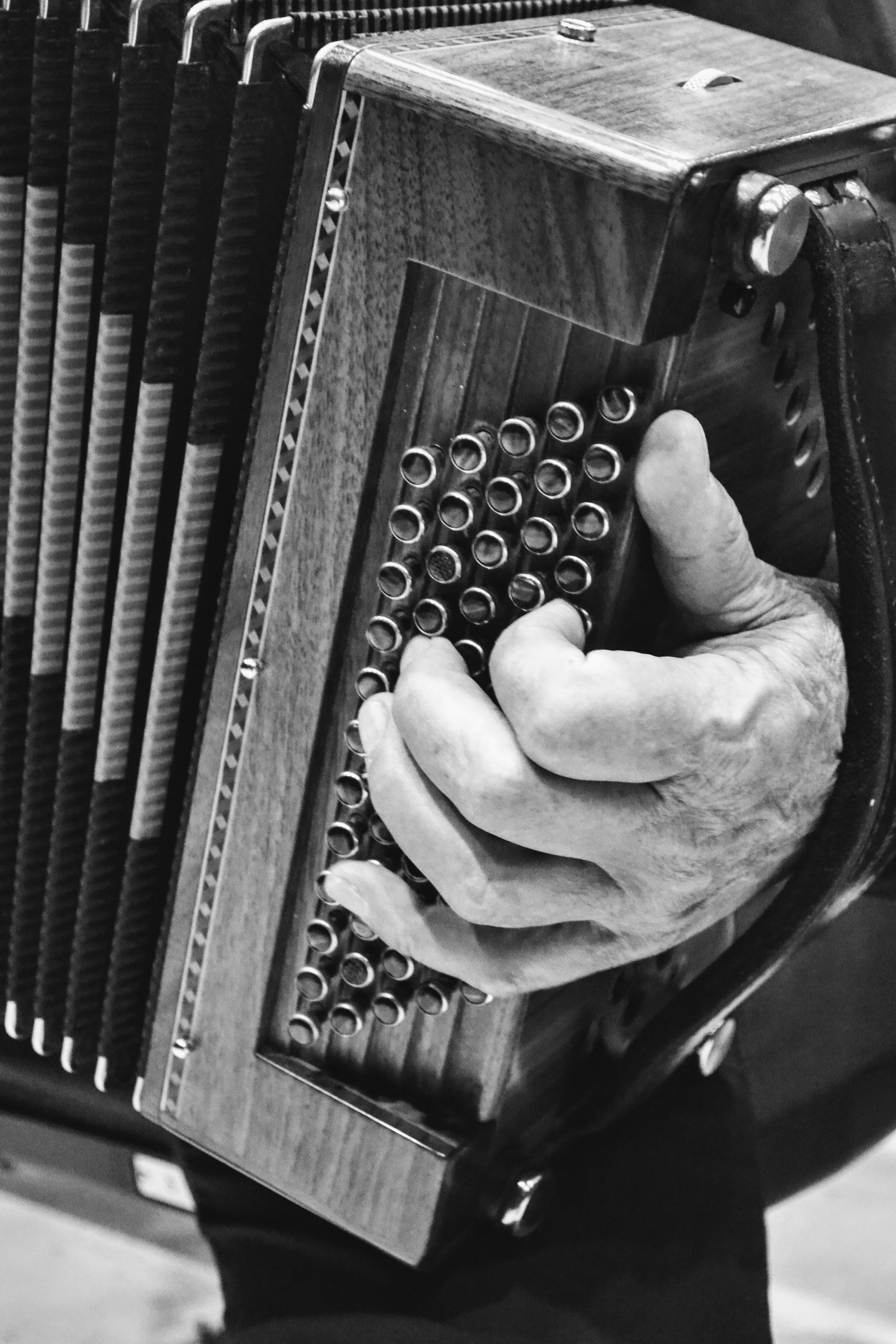 pexels-max-iglesias-a-3165920.jpg
